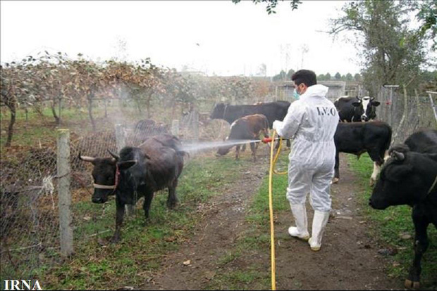دستگاه های سمپاشی مورد استفاده در گاوداری