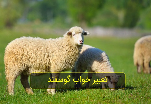 تعبیر خواب گوسفند زنده