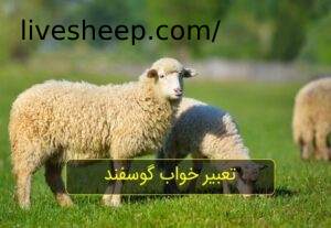 تعبیر خواب گوسفند زنده چگونه است