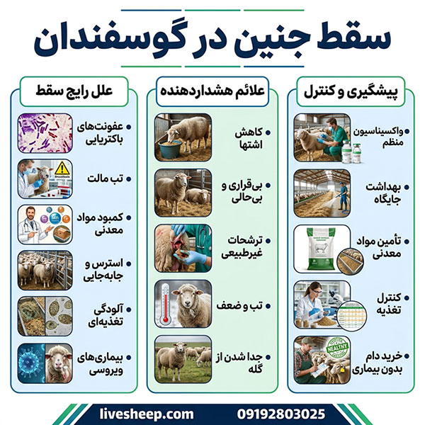 آشنایی با سقط جنین در گوسفندان و علائم مهم آن