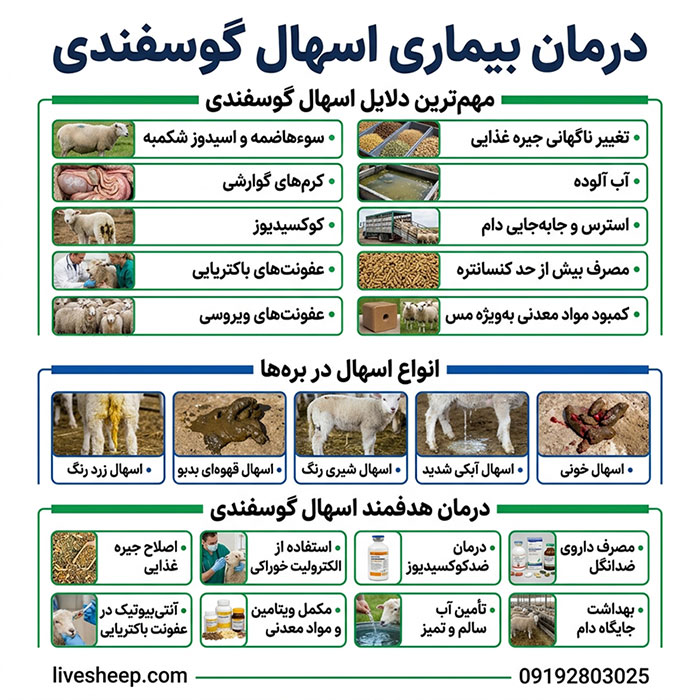 مراحل درمان بیماری اسهال گوسفندی آشنایی با مراحل درمان بیماری اسهال گوسفندی