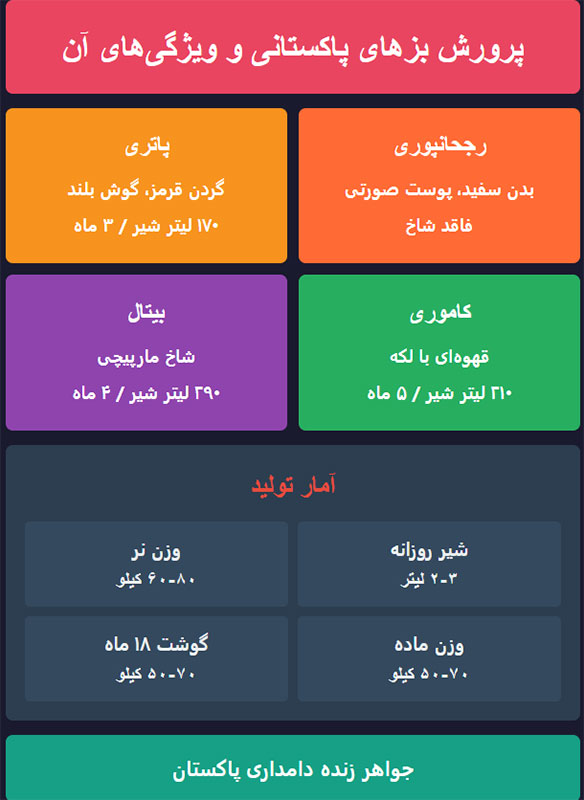 انواع نژادهای تلفیقی برای پرورش بزهای پاکستانی