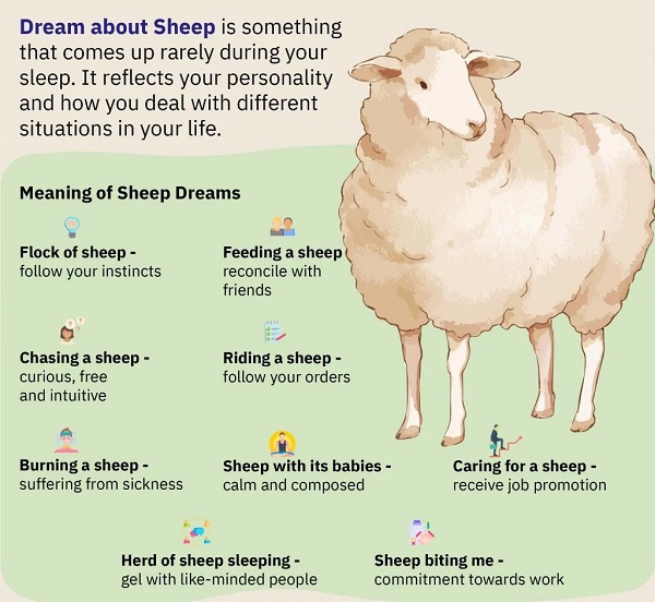 تعبیر خواب گوسفندان چیست