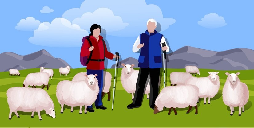 فروش گوسفند ارزان قیمت