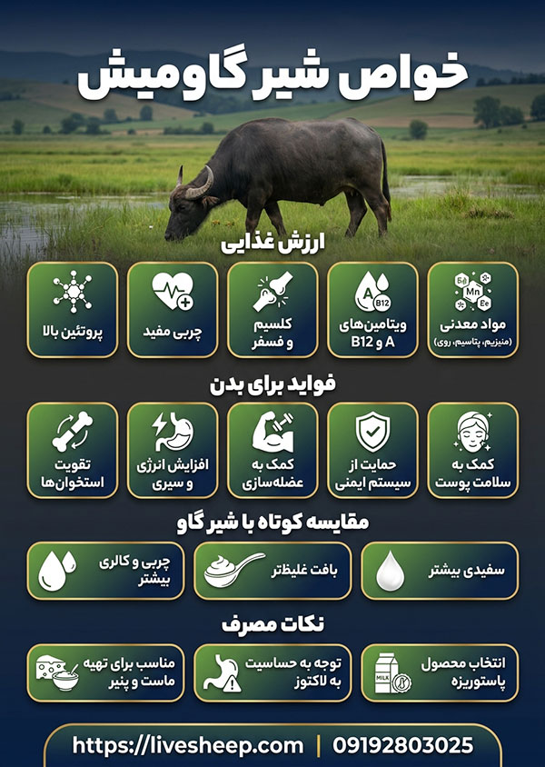 شیر گاومیش چه مزایایی دارد