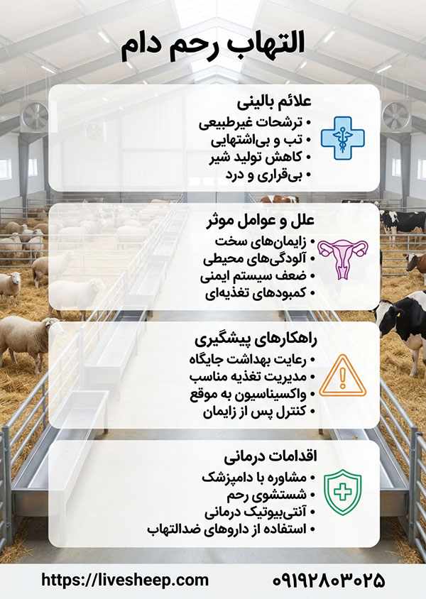 آشنایی با التهاب رحم در دام و ویژگی های آن