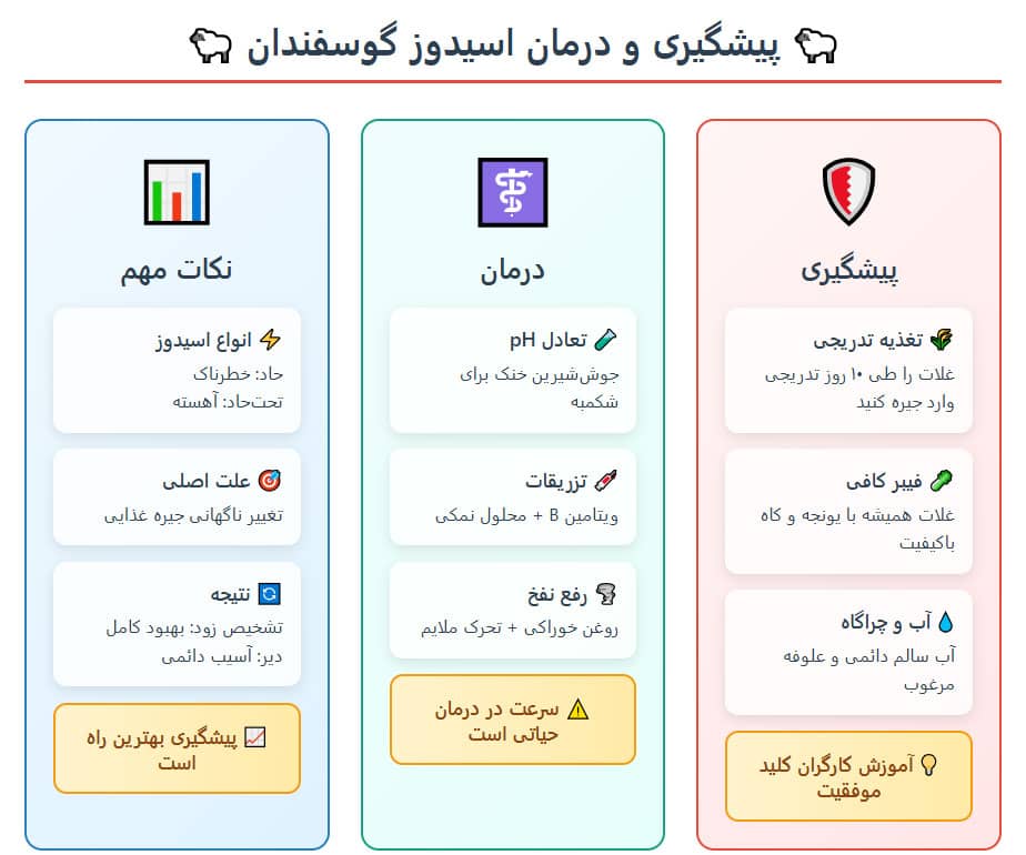 روش های پیشگیری از اسیدوز در گوسفندان